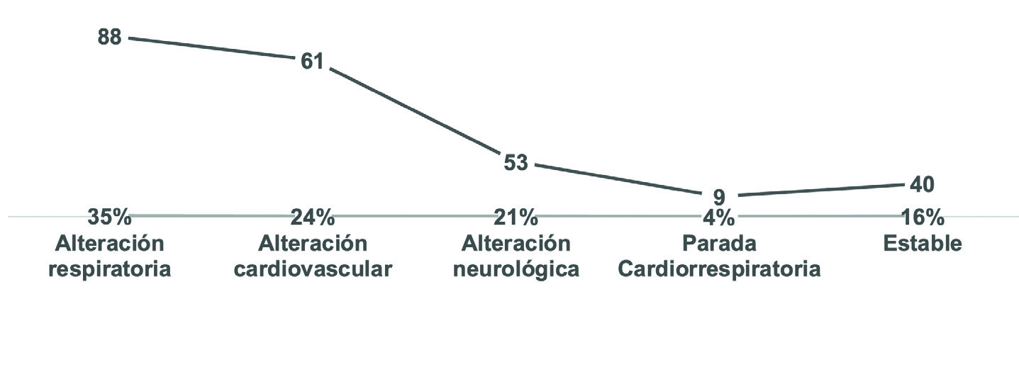 Figura 1