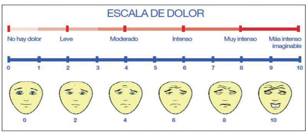 Figura 3. Escala Wong Baker