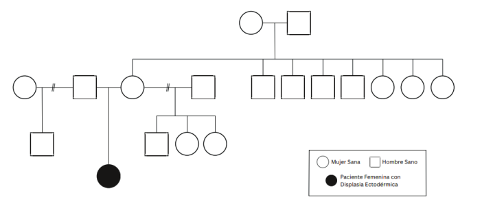 Figura 4. Árbol genealógico de la paciente